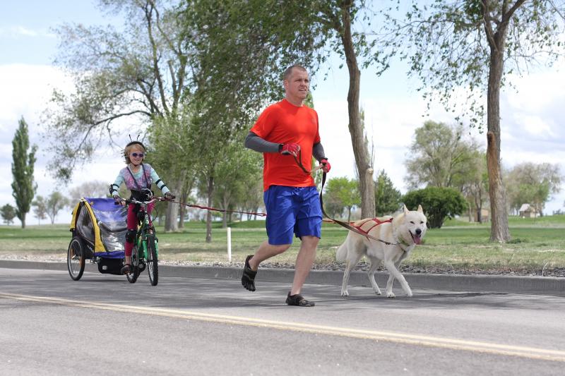 Finally, I have pics of all 4 dogs (2 Huskies + 2 GSDs) bikejoring together! 14314795780_1ae888aceb_o