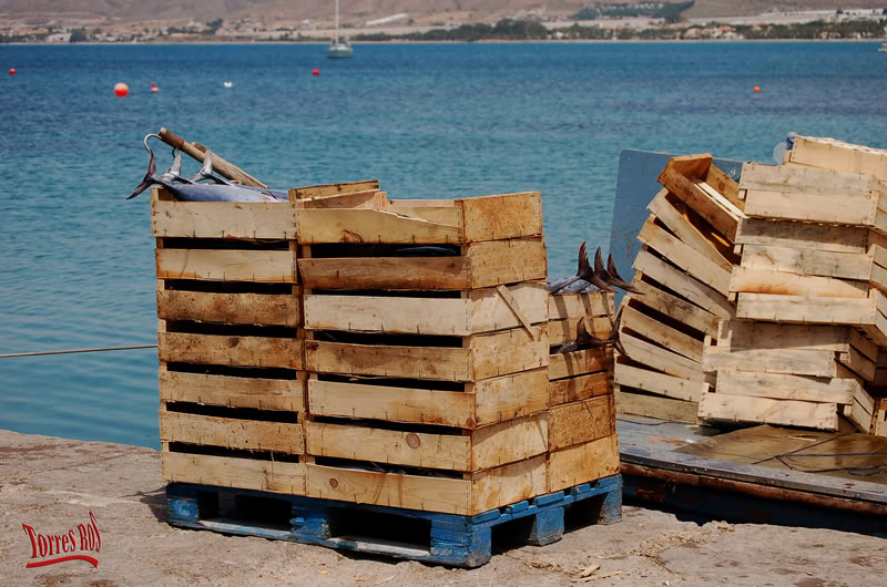 Costas y Playas de Cartagena - Página 5 LaAlmadraba12