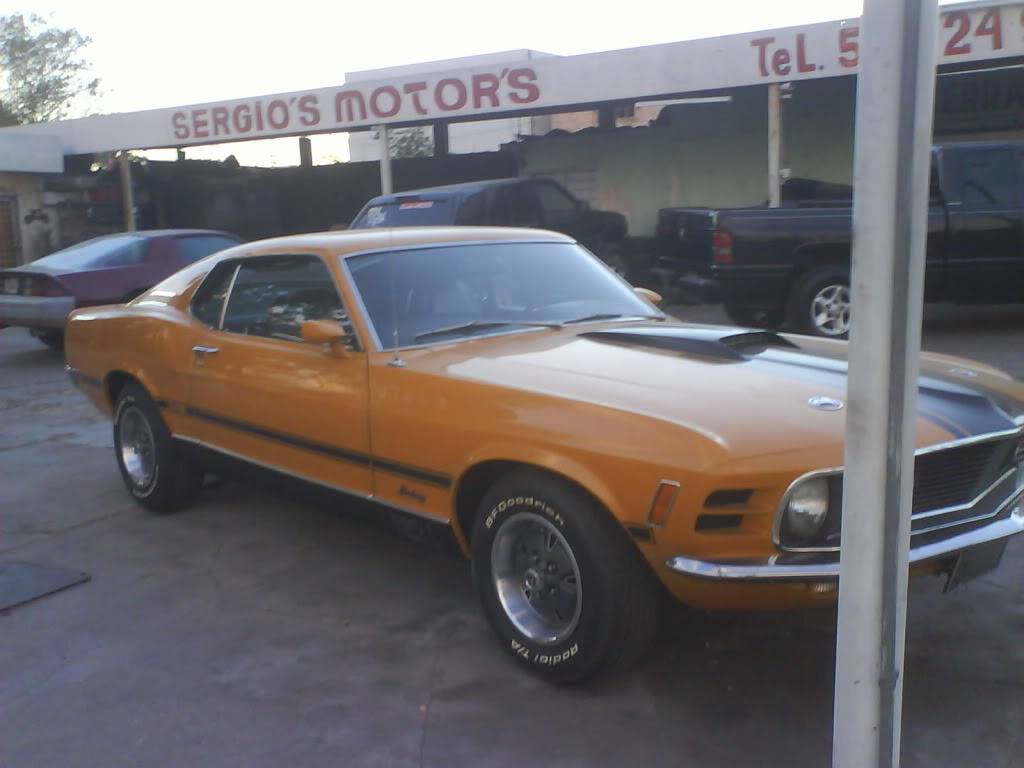 MUSTANG MACH 1 1969 DSC02552