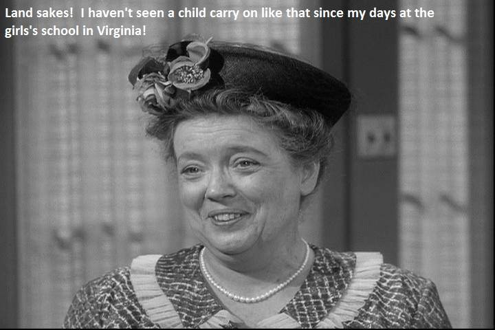 A Little Humor! Very Little! - Page 39 Aunt_Bee_zps6f52e3da