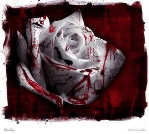 -x- Tears of the Blood Red Sky -x- Blood_Roses