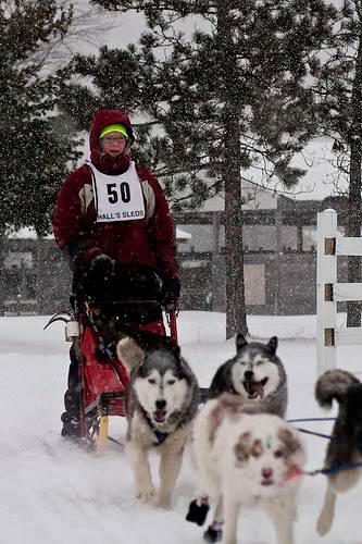 Race at Kalkaska- pics 3204962805_112c7e53e4