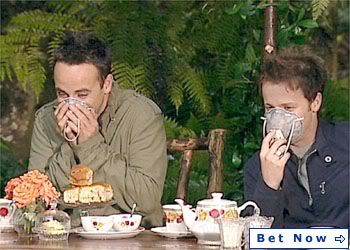 Ant & Dec Fangroup Imacelebrity