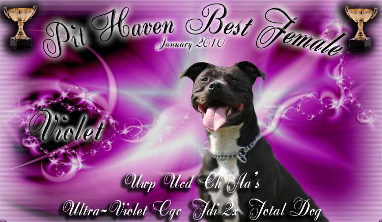 MONTHLY WINNERS FOR 2010-BANNERS HAVE A NEW LOOK THIS YEAR! Female