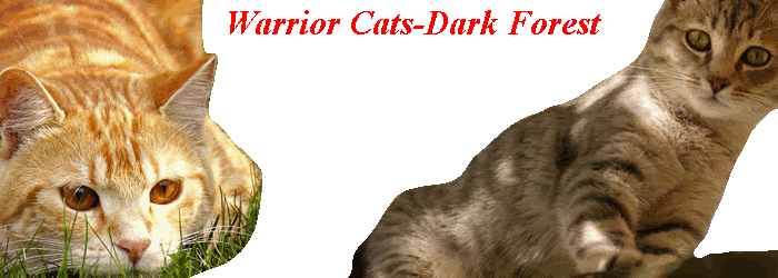 Warrior Cats -Dark Forest