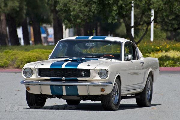 Referencia: Ford Mustang 1964 até 1972 1965%20Shelby%20Mustang%20GT350%20Trivia%20%20first%20338%20cars%20had%20the%20battery%20in%20the%20trunk%2014%20cars%20had%20the%20exhaust%20out%20the%20back%20under%20the_zpsz8stfsjy