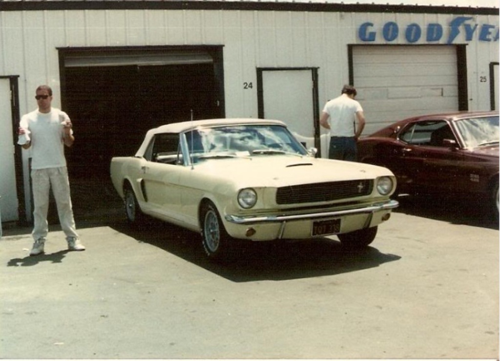 Referencia: Ford Mustang 1964 até 1972 1966%20Shelby%20GT350%20Convertible%204%20of%204%20um%20dos%2030%20mais%20raros%20muscle_zps6sv3l92j