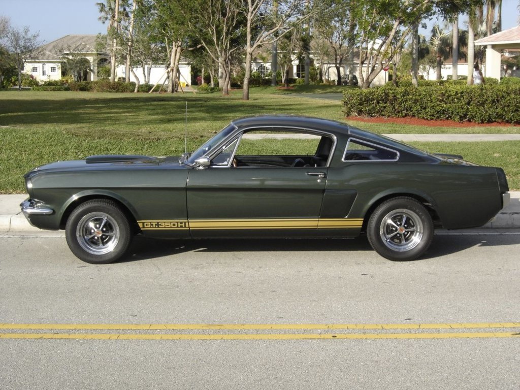 Referencia: Ford Mustang 1964 até 1972 Not%20all%201966%20GT%20350H%20cars%20were%20Raven%20Black4%20Ivy%20Green%2059_zpsfnv4nikd