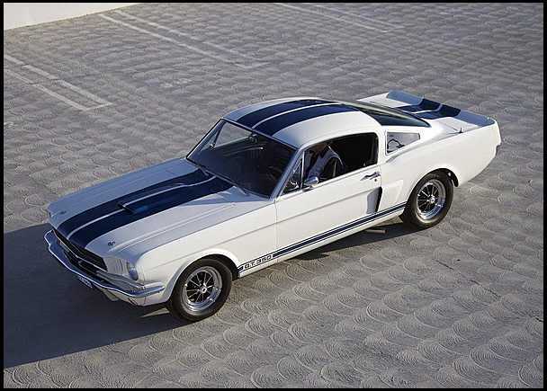 Referencia: Ford Mustang 1964 até 1972 The%201966%20Shelby%20GT350s%202%20prototipos_zpsgi96cvhh