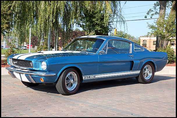 Referencia: Ford Mustang 1964 até 1972 The%201966%20Shelby%20GT350s%20paxton%20producion%2010_zpsw44jhxvx