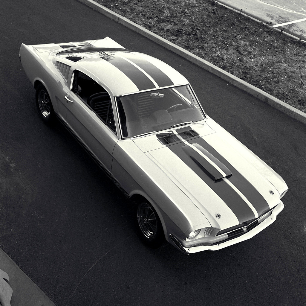 Referencia: Ford Mustang 1964 até 1972 Le%20mans%20stripes2_zps2yulv9p6