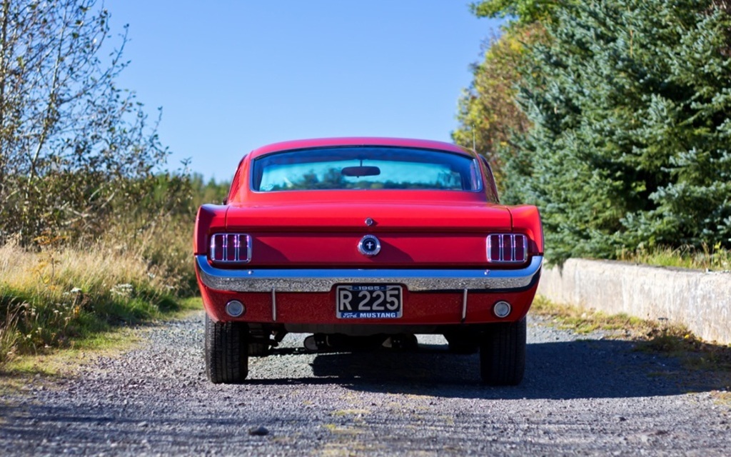 Referencia: Ford Mustang 1964 até 1972 No%20Reverse%20Lights%20Ordered%20With%20Reverse%20Lights%20Ordered%2010.47_zpsuafzsnhy