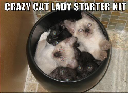 guys... this is serious.... CATLADYSTARTERKIT