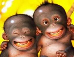 bản tưởng trình độc nhất MonkeySmile