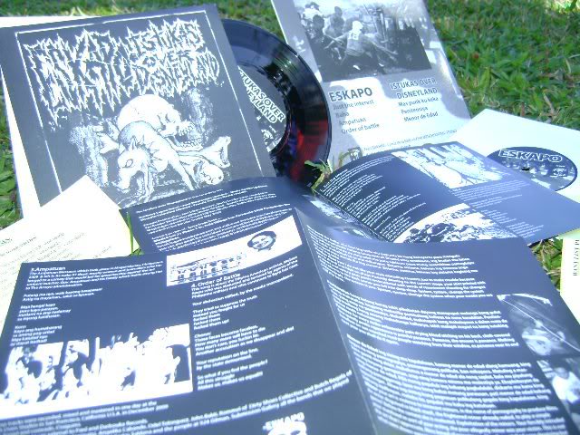 Underground Asia CD Compilation and Eskapo/Istukas over Disneyland Split 7" out now Split2