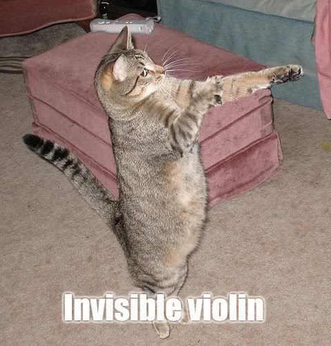 Photos de chats? Invisible-Violin-Cat