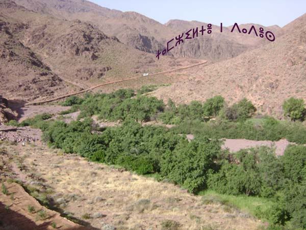 Visites guidées Saghro4