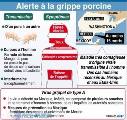 Grippe porcine: Virus porcin H1N1 Afp-photo-185209