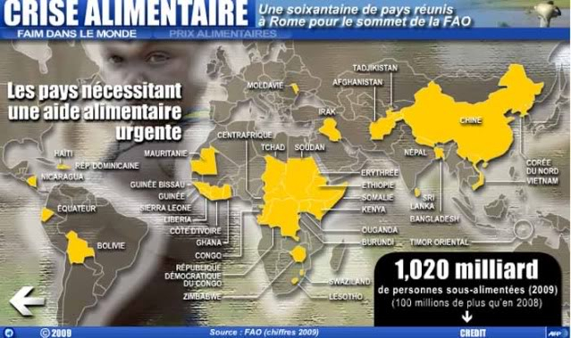 Ouverture d'un sommet contre la faim snobé par le G8 Faim-dans-monde2