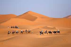 Premier festival culturel et touristique de Merzouga Merzouga-1