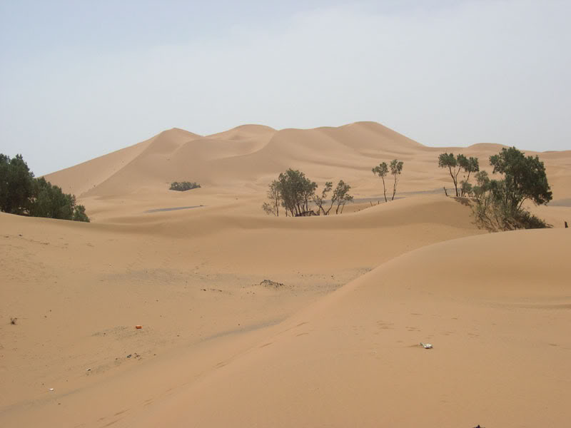 Merzouga..dunes de sables & coucher du soleil Merzouga2-1