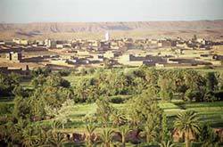 Transhumance et biodiversité Ouarzazate