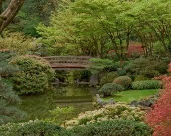 1er ROL MASIVO Jardin-japones