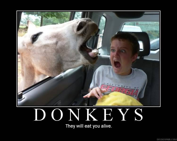 Funny Piktars MotivationalPosters-Donkeys