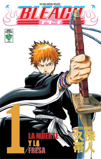 Bleach Bleach1g