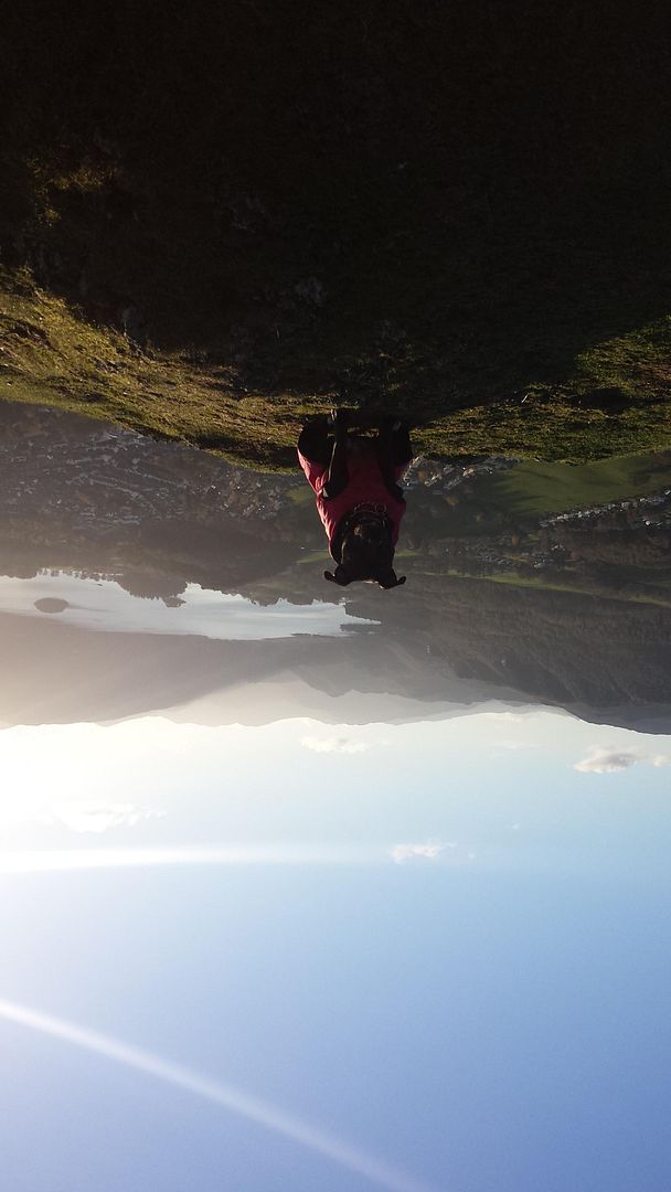 Millie and jaspers holiday in the lakes :)  20141105_150418_zps45a61009