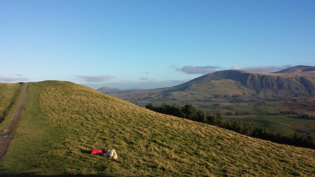 Millie and jaspers holiday in the lakes :)  20141105_150639_zps97ba467c