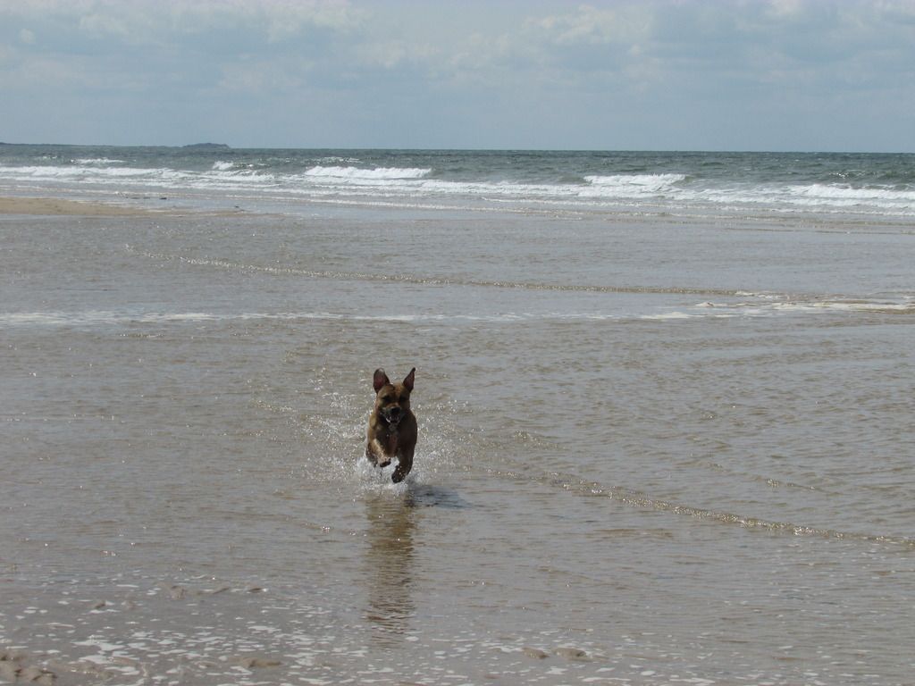 day at the beach (pic heavy) Flying_zpso7n9dphn