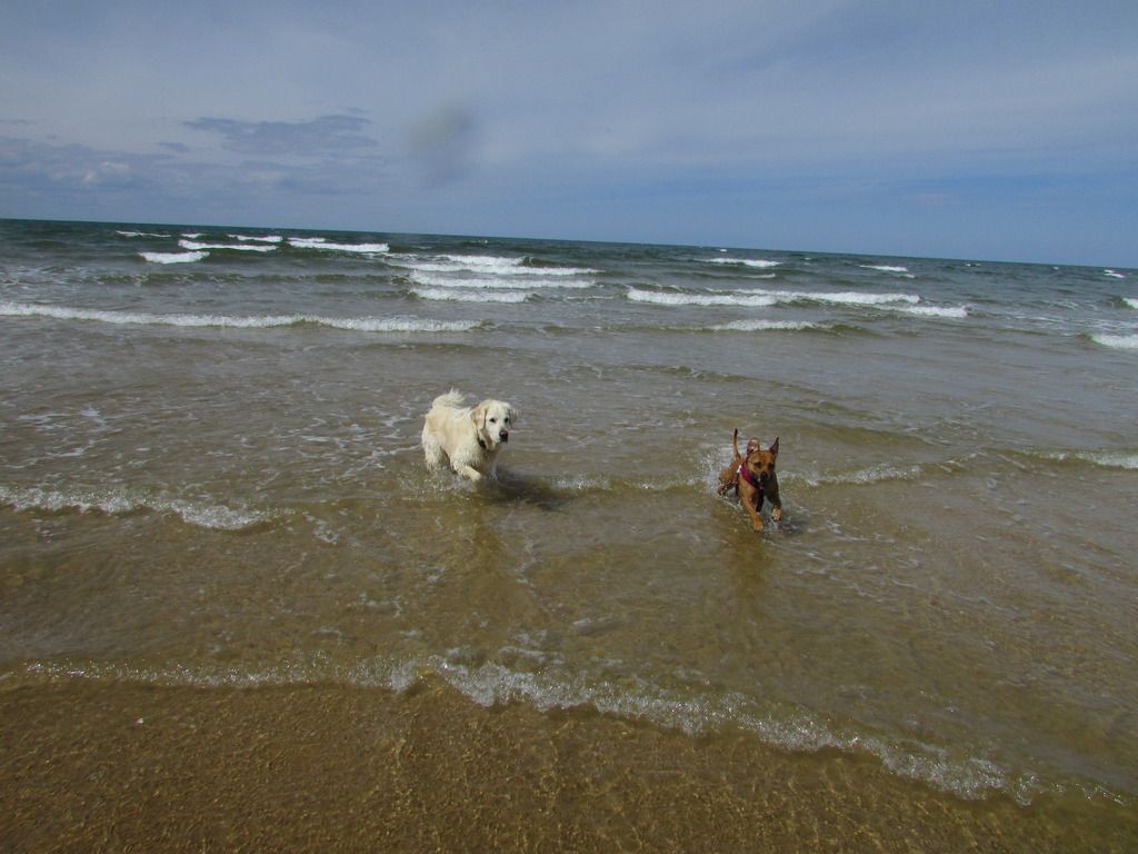 day at the beach (pic heavy) Together_zpsvkfqbze8