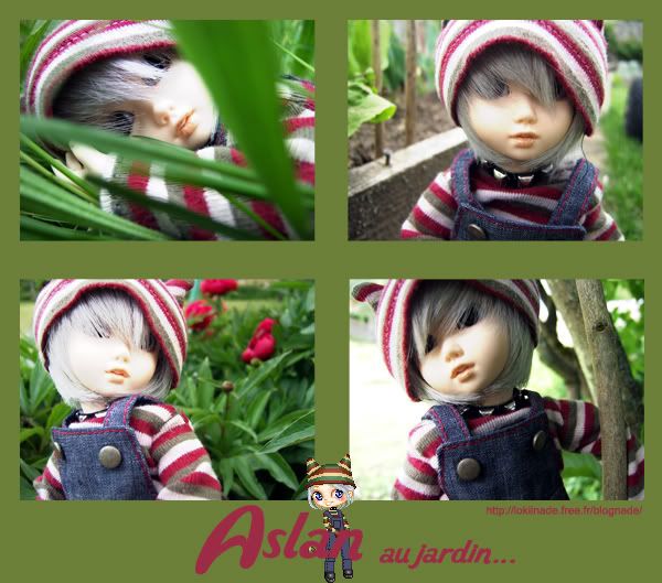 Lazare&Co: aslan dansle jardin (cutie delf cory) - Page 12 Aslan-mc