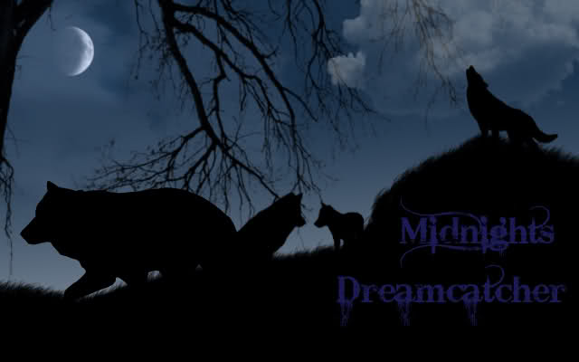 Midnights Dreamcatcher