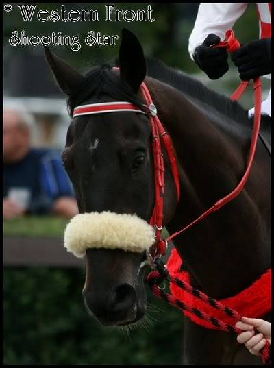 Sky High - Historique Chevaux ShootingStar