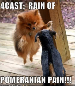 Mια εικόνα και μια λέξη... - Σελίδα 19 Pomeranian