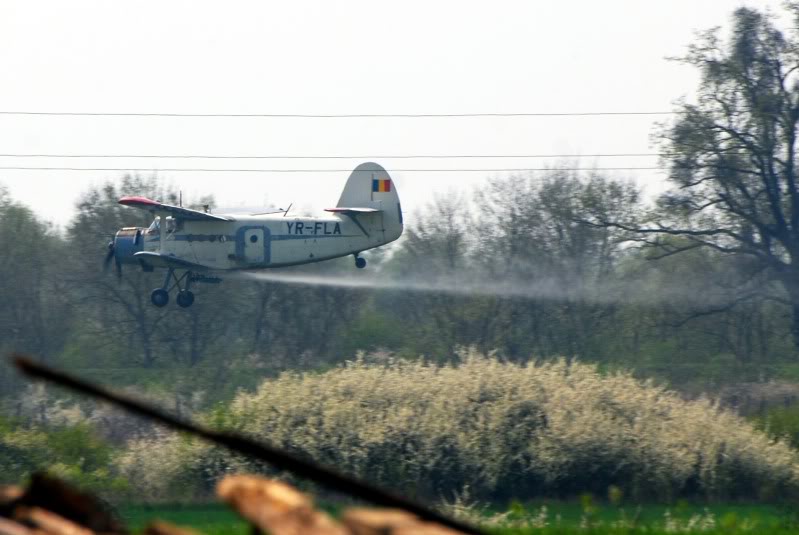 Antonov An-2 - Pagina 11 AN-2YR-FLASagaprilie2009-01