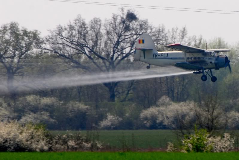 Antonov An-2 - Pagina 11 AN-2YR-FLASagaprilie2009-03