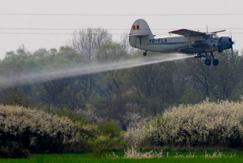 Antonov An-2 - Pagina 11 AN-2YR-FLASagaprilie2009-04