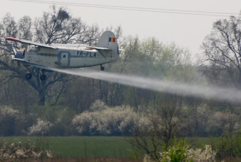 Antonov An-2 - Pagina 11 AN-2YR-FLASagaprilie2009-09