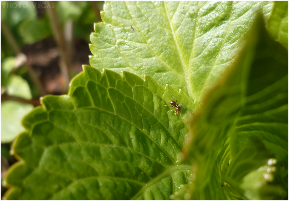 Concours photo - Page 2 Photo