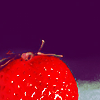 ;; I'm on the edge of glory... Strawberry01