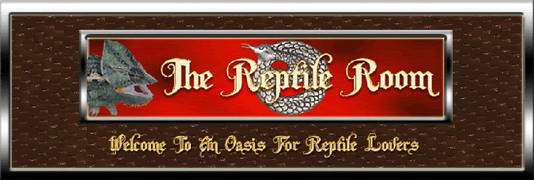 The Reptile Room Trrheaderfin750