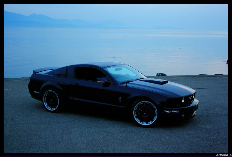 Shooting Mustang 05 Mustang0605958aborder