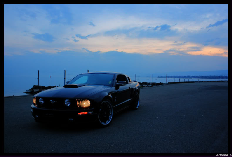 Shooting Mustang 05 Mustang0888990border