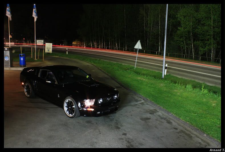 Shooting Mustang 05 Mustang178border