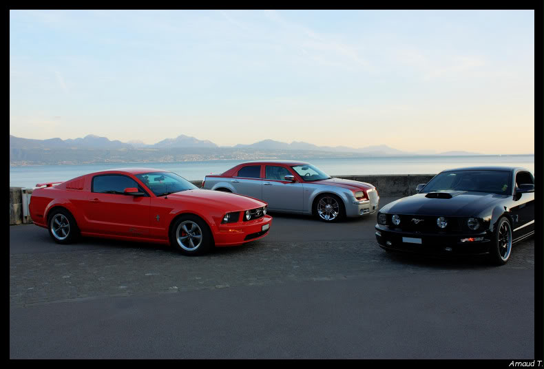 Shooting Mustang 05 Mustanget300c0686970bor