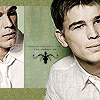 [VILLAINS] * |Renégats Josh-josh-hartnett-550127_100_100