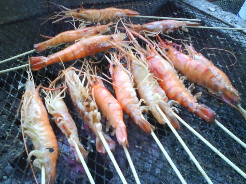 Prawn Fishing DSC01270